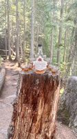 Whiskyverkostung Dawson Falls &ndash; &copy; Mareike Schmidt (Eberhardt TRAVEL)