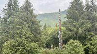 Totempfähle, Ketchikan, Alaska  &ndash; &copy; Mareike Schmidt (Eberhardt TRAVEL)