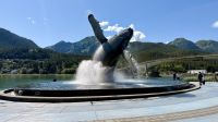 Walstatue, Juneau  &ndash; &copy; Mareike Schmidt (Eberhardt TRAVEL)