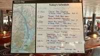 Zeitplan, Glacier Bay Nationalpark &ndash; &copy; Mareike Schmidt (Eberhardt TRAVEL)