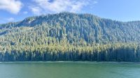 Whale Watching, Icy Strait Point &ndash; &copy; Mareike Schmidt (Eberhardt TRAVEL)