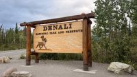 Denali Nationalpark  &ndash; &copy; Mareike Schmidt (Eberhardt TRAVEL)
