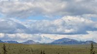 Denali Nationalpark  &ndash; &copy; Mareike Schmidt (Eberhardt TRAVEL)