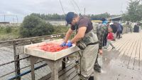 Rotlachs, Anchorage  &ndash; &copy; Mareike Schmidt (Eberhardt TRAVEL)
