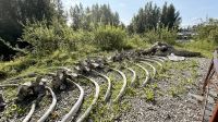 Walknochen, Alaska Native Heritage Center, Anchorage  &ndash; &copy; Mareike Schmidt (Eberhardt TRAVEL)