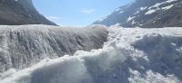 Columbia Icefield (9) &ndash; &copy; Marcus Hasselhorst (Eberhardt TRAVEL)
