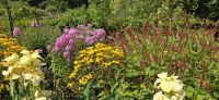Buchard Gardens (3) &ndash; &copy; Marcus Hasselhorst (Eberhardt TRAVEL)