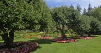 Buchard Gardens (9) &ndash; &copy; Marcus Hasselhorst (Eberhardt TRAVEL)