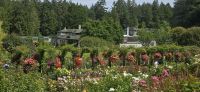 Buchard Gardens (13) &ndash; &copy; Marcus Hasselhorst (Eberhardt TRAVEL)