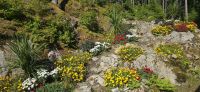 Glacier Gardens (11) &ndash; &copy; Marcus Hasselhorst (Eberhardt TRAVEL)