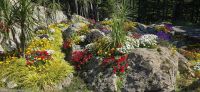 Glacier Gardens (12) &ndash; &copy; Marcus Hasselhorst (Eberhardt TRAVEL)