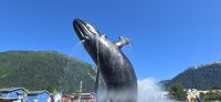 Junaeu (11) &ndash; &copy; Marcus Hasselhorst (Eberhardt TRAVEL)
