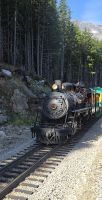 White Pass (6) &ndash; &copy; Marcus Hasselhorst (Eberhardt TRAVEL)