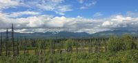Alaska Wilderness express (5) &ndash; &copy; Marcus Hasselhorst (Eberhardt TRAVEL)