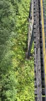 Alaska Wilderness express (10)