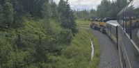 Alaska Wilderness express (17) &ndash; &copy; Marcus Hasselhorst (Eberhardt TRAVEL)
