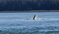 Wildlife (5) &ndash; &copy; Marcus Hasselhorst (Eberhardt TRAVEL)