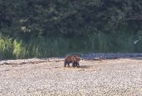 Wildlife (6) &ndash; &copy; Marcus Hasselhorst (Eberhardt TRAVEL)