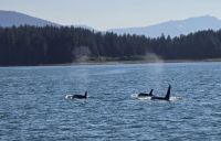 Wildlife (7) &ndash; &copy; Marcus Hasselhorst (Eberhardt TRAVEL)