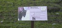 Alaska Wildlife Park (15) &ndash; &copy; Marcus Hasselhorst (Eberhardt TRAVEL)