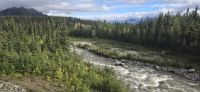 Alaska Scenery (4) &ndash; &copy; Marcus Hasselhorst (Eberhardt TRAVEL)