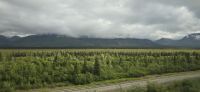 Alaska Scenery (6) &ndash; &copy; Marcus Hasselhorst (Eberhardt TRAVEL)
