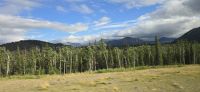 Alaska Scenery (13) &ndash; &copy; Marcus Hasselhorst (Eberhardt TRAVEL)