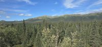 Denali NP (8) &ndash; &copy; Marcus Hasselhorst (Eberhardt TRAVEL)