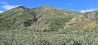Denali NP (9) &ndash; &copy; Marcus Hasselhorst (Eberhardt TRAVEL)