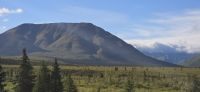 Denali NP (13) &ndash; &copy; Marcus Hasselhorst (Eberhardt TRAVEL)