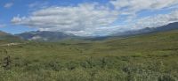 Denali NP (15) &ndash; &copy; Marcus Hasselhorst (Eberhardt TRAVEL)