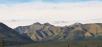 Denali NP (16) &ndash; &copy; Marcus Hasselhorst (Eberhardt TRAVEL)