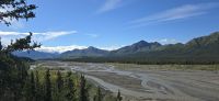 Denali NP (19) &ndash; &copy; Marcus Hasselhorst (Eberhardt TRAVEL)