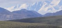 Denali NP (20) &ndash; &copy; Marcus Hasselhorst (Eberhardt TRAVEL)