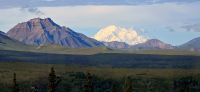 Denali NP (22) &ndash; &copy; Marcus Hasselhorst (Eberhardt TRAVEL)