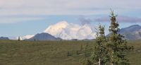 Denali NP (23) &ndash; &copy; Marcus Hasselhorst (Eberhardt TRAVEL)