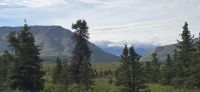 Denali NP (25) &ndash; &copy; Marcus Hasselhorst (Eberhardt TRAVEL)