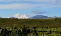 Denali NP (29) &ndash; &copy; Marcus Hasselhorst (Eberhardt TRAVEL)