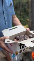 Timbits am Wasserfall &ndash; &copy; Natalie Hady (Eberhardt TRAVEL)