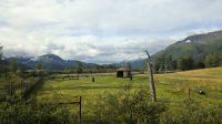 Alaska Wildlife Conservation Center 