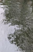 Lache im Ketchikan Creek &ndash; &copy; Natalie Hady (Eberhardt TRAVEL)