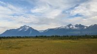 Von Denali bis Anchorage 