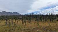 Von Denali bis Anchorage