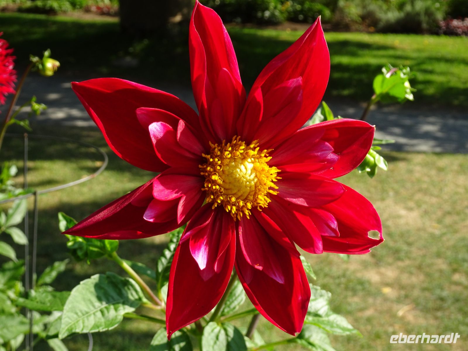 Halifax Public Gardens &ndash; &copy; Sabine Letzybyll (Eberhardt TRAVEL)