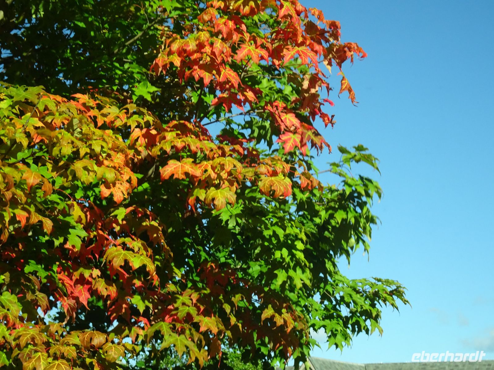 Indian Summer &ndash; &copy; Sabine Letzybyll (Eberhardt TRAVEL)