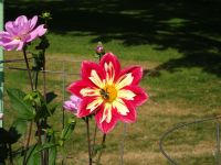 Halifax Public Gardens &ndash; &copy; Sabine Letzybyll (Eberhardt TRAVEL)