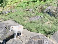 Omega Wildpark  &ndash; &copy; Sabine Letzybyll (Eberhardt TRAVEL)
