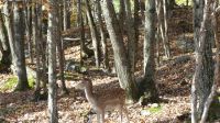 Omega Wildpark &ndash; &copy; Frank Nimschowski (Eberhardt TRAVEL)