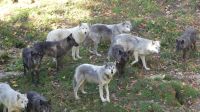 Omega Wildpark &ndash; &copy; Frank Nimschowski (Eberhardt TRAVEL)