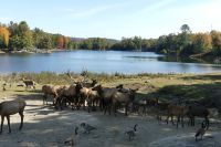 Omega Wildpark &ndash; &copy; Frank Nimschowski (Eberhardt TRAVEL)